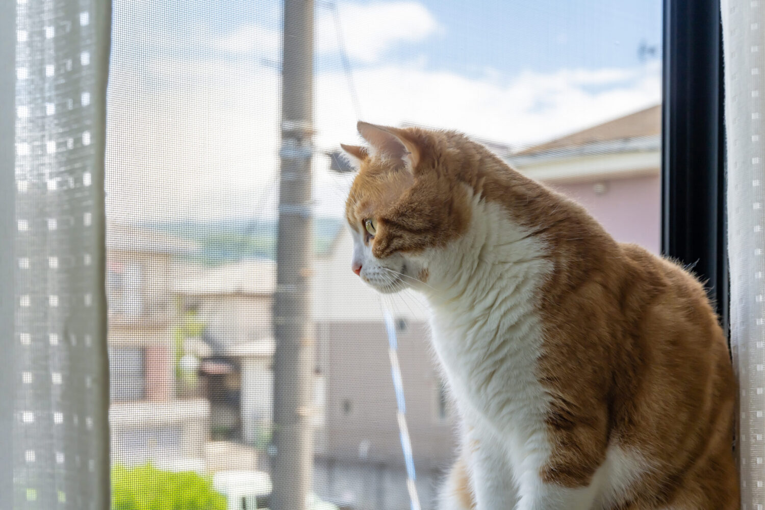 自己内省のイメージ